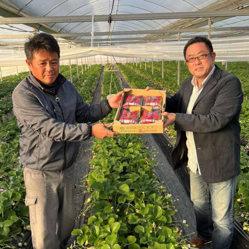 Fraises Amarin Igarashi Farm Ito san