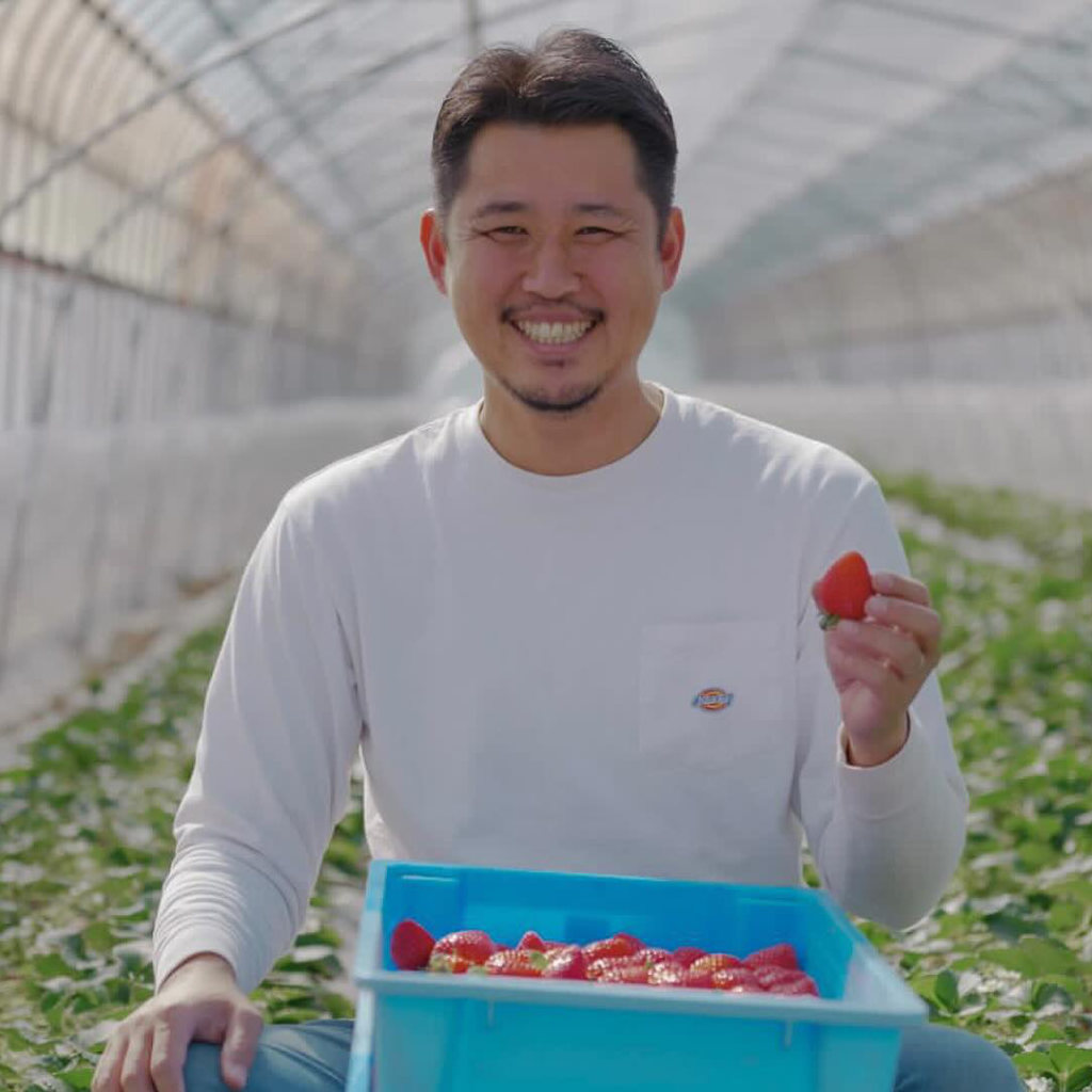 Fraises Amarin Kumehara Farm Yoshiyuki KUMEHARA