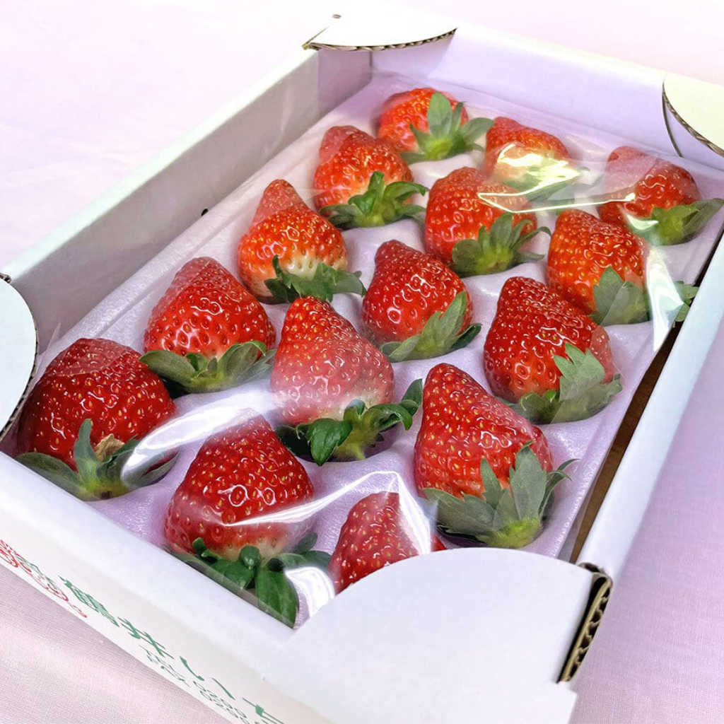 Fraises Tochiotome Caisse