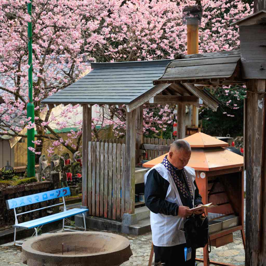 Évènement - Salon du Tourisme 2024 - Shikoku "Zen Hiker" Évènement - Salon du Tourisme 2024 - Shikoku "Zen Hiker"