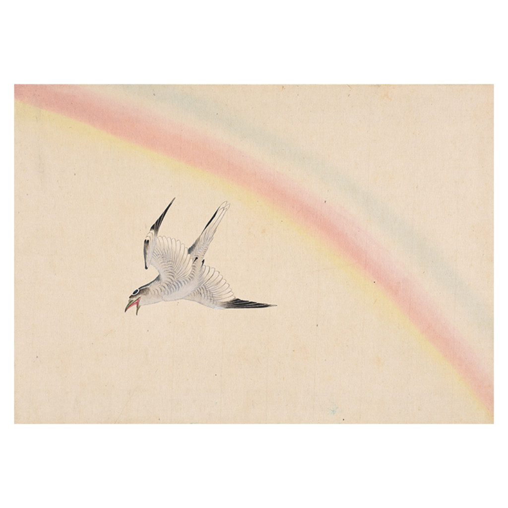The Album of Brush Paintings, Cuckoo
